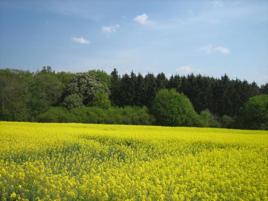Rhodaer Grund Erfurt Luaran gambar